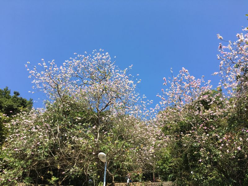 CC加速器游戏加速场景